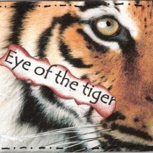 Eye of the Tiger