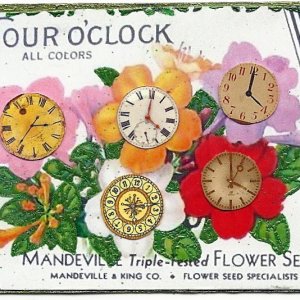 All Colors, Mixed Times