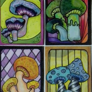whimsy mushroom swap