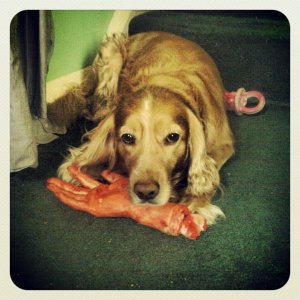 Charlie <3