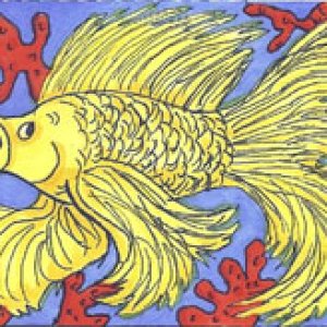 Bettas
