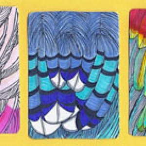 feathers