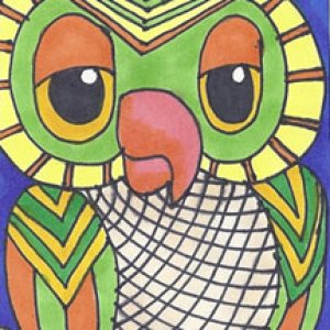 owls