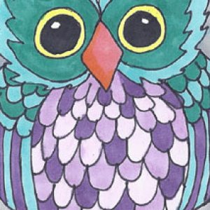 owls