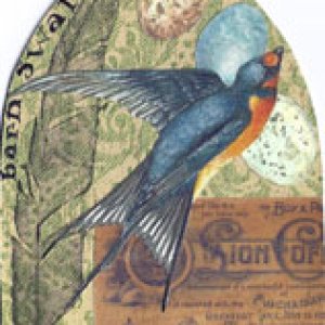Gothic arches - birds