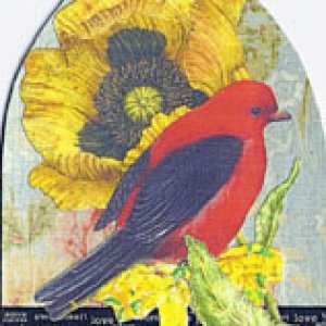 Gothic arches - birds
