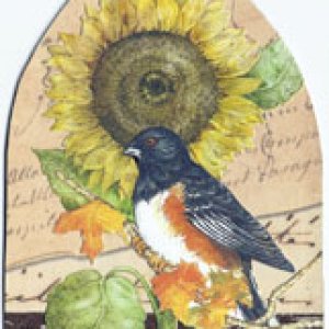 Gothic arches - birds