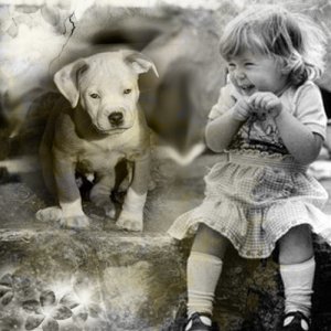 My Pit Bull Makes Me Giggle