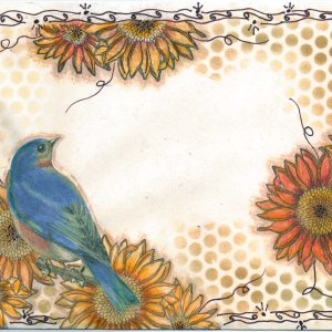 another altered envie