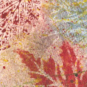 Autumn #249 (traded)