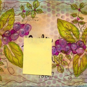 altered envie PIF