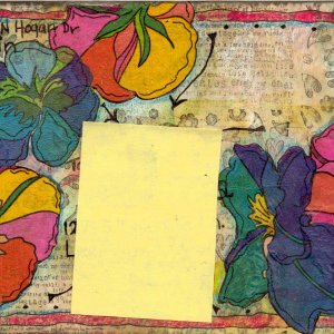 PIF altered envie