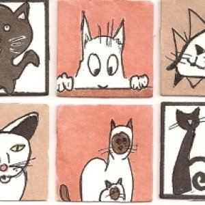 Cat Inchies- traded