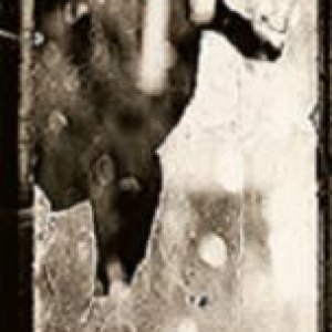 Through The Broken Window