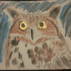 the eyes have it
