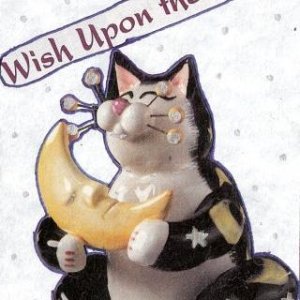 Wish Upon the Moon