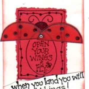 Bug #3 - Ladybird - wings open and close
