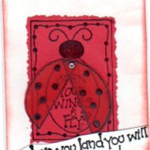 Bug #3 - Ladybird - wings open and close