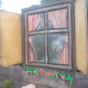 Look through my window