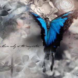 Imagination