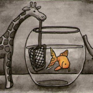 2013 May Contest WINNERS -- Theme: Black & White with a POP