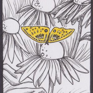 Pop of color contest