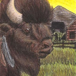 2nd Place June Contest - Theme: Sunsets