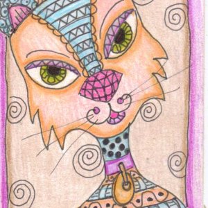 patterened cat