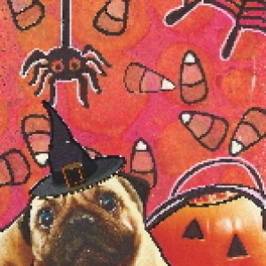 Halloween Pug