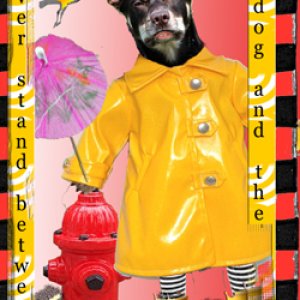 #238 - My Fire Hydrant - Zetti Dogs