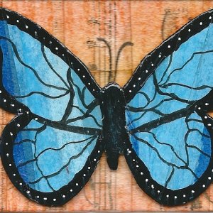 Colorful Butterflies