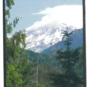 Mt. Rainier Wa.