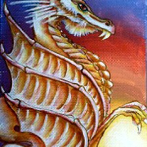 1st Place Winner - 2014 February Monthly Contest - Theme: Dragons