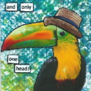 Birds in Hats
