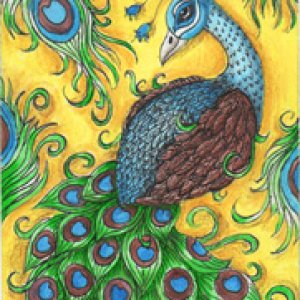 April 2014 Contest - Theme: Colorful Birds Entrants and winners