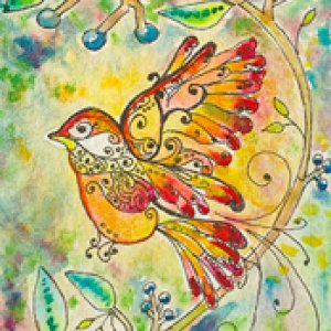 April 2014 Contest - Theme: Colorful Birds Entrants and winners