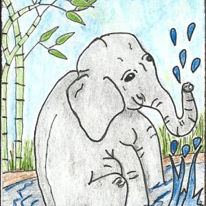 MMH Baby Elephant