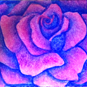 purple rose