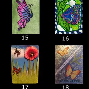 2014 July Monthly Contest entries _ Butterflies & Moths