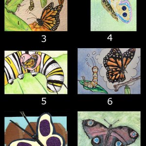 2014 July Monthly Contest entries _ Butterflies & Moths