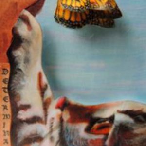 1st place 2014 July Monthly Contest - Butterflies & Moths