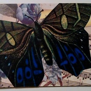 ATC ~ Green Moth~ Traded