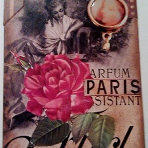 ATC~Paris Red Rose