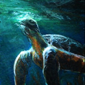 2014 August First Place Winner