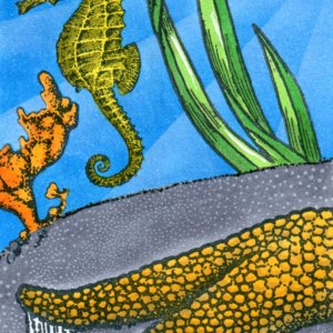 August Contest - Sea Creatures