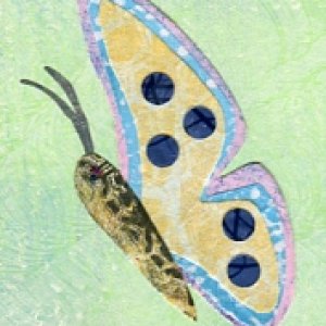 July 2014 Contest entry