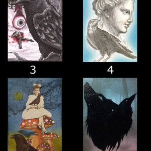 2014 September Monthly Contest Theme - Ravens