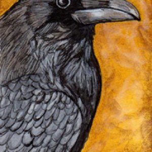 2014 September Monthly Contest First Prize Winner