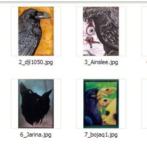 2014 September Monthly Contest Entries - Ravens