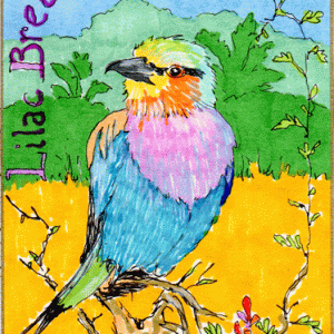 Birds of the Alphabet